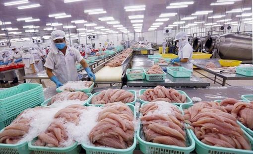 Xuất khẩu thủy sản Việt Nam: Tăng trưởng chậm lại, doanh nghiệp đối mặt nhiều sức ép
