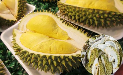 Vỏ sầu riêng – Từ phụ phẩm đến nguồn nguyên liệu mới