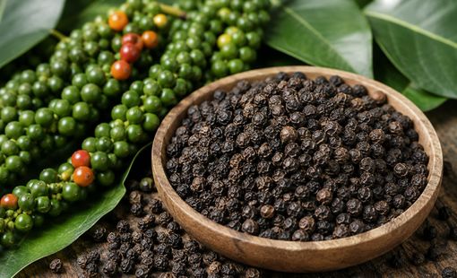 Giá hồ tiêu giữ vùng cao, xuất khẩu tăng nhưng bài toán nâng giá trị vẫn còn phía trước