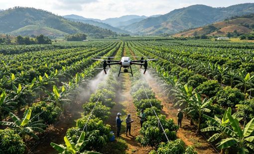 Drone bay, dữ liệu chạy: Khi vùng nguyên liệu được quản lý từ xa