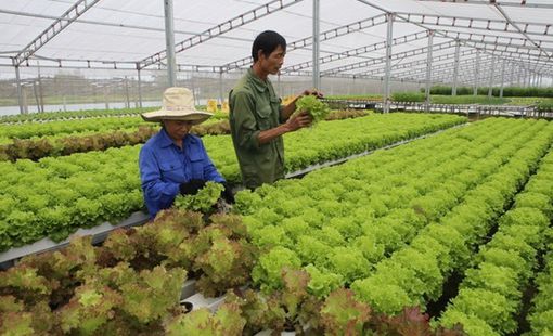 Hà Nội đẩy mạnh số hóa chuỗi sản xuất, kinh doanh nông sản, thực phẩm