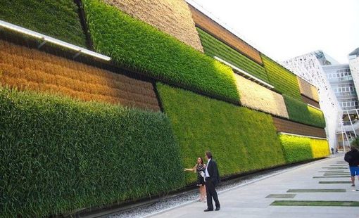 Nông nghiệp thẳng đứng: Từ mô hình đô thị đến xu hướng công nghệ mới