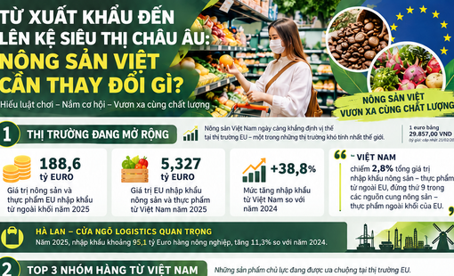 [Infographic] Từ xuất khẩu đến lên kệ siêu thị châu Âu: Nông sản Việt cần thay đổi gì?