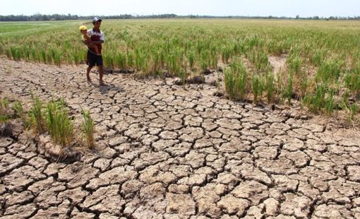 El Niño mạnh trở lại, miền Trung, Tây Nguyên và Nam Bộ đối mặt nguy cơ thiếu nước