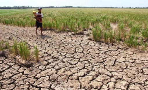 El Niño mạnh trở lại, miền Trung, Tây Nguyên và Nam Bộ đối mặt nguy cơ thiếu nước