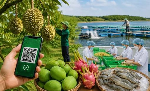 814.000 sản phẩm nông sản đăng ký truy xuất nguồn gốc