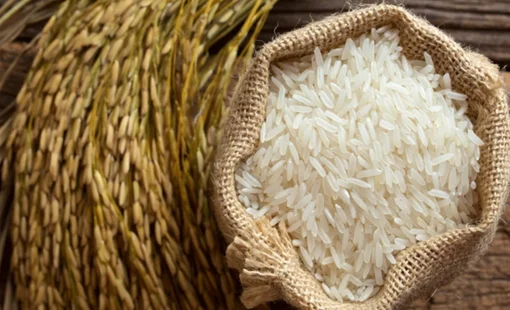 Giá lúa gạo hôm nay 23/9: Lúa tươi đảo chiều tăng, gạo nguyên liệu xuất khẩu giảm nhẹ