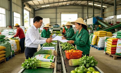 Hợp đồng dài hạn: Đường ray giữ đầu ra cho doanh nghiệp công nghiệp nông thôn