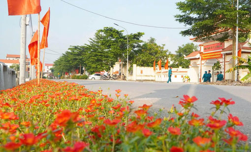 Hà Nội phân nhóm xã trong xây dựng nông thôn mới giai đoạn 2026-2030