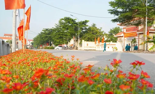 Hà Nội phân nhóm xã trong xây dựng nông thôn mới giai đoạn 2026-2030