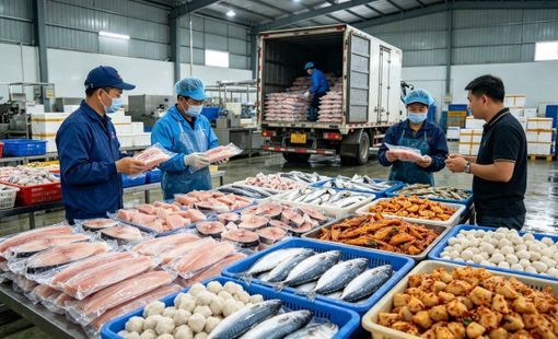 Chế biến thủy sản nước ngọt: Từ con cá nguyên liệu đến sản phẩm giá trị gia tăng
