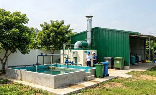 Nhà máy nông thôn giảm chất thải: Đầu tư đúng cách để mở rộng sản xuất