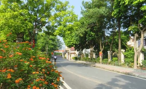 Đan Phượng phát huy nội lực, xây dựng nông thôn mới từ sức dân