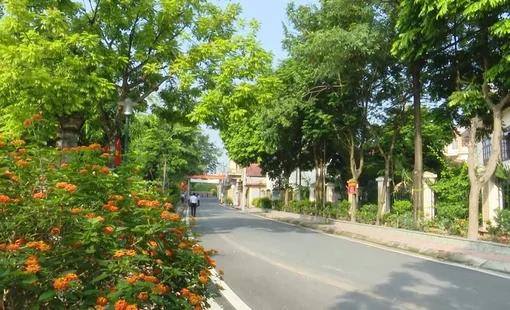 Đan Phượng phát huy nội lực, xây dựng nông thôn mới từ sức dân