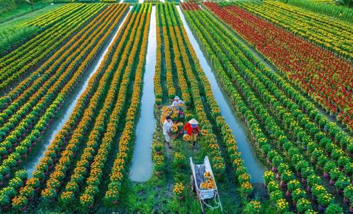 Giữ chân người trẻ: Bài toán nguồn nhân lực của nông nghiệp hiện đại