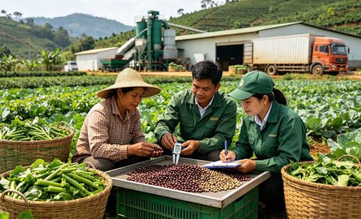Chuẩn hóa từ vùng nguyên liệu: Nền móng nâng chất lượng cả chuỗi nông sản