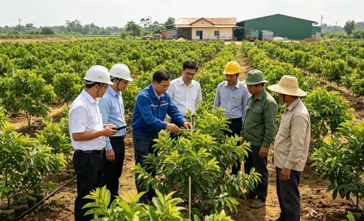 Liên kết nông dân – doanh nghiệp: Từ hợp đồng vùng nguyên liệu đến kinh nghiệm góp đất