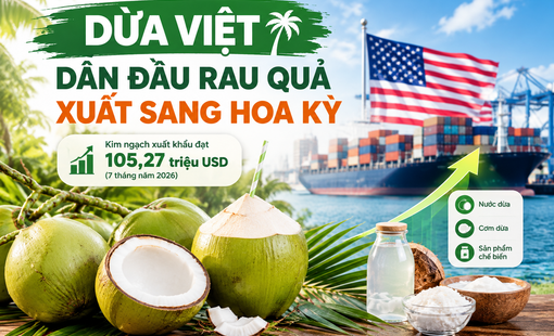 [Infographic] Dừa Việt dẫn đầu rau quả xuất sang Hoa Kỳ