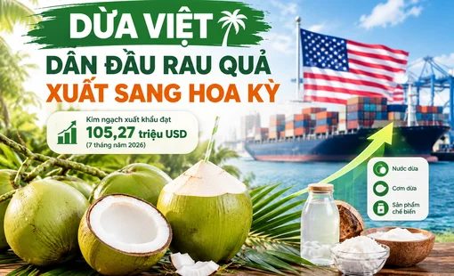 [Infographic] Dừa Việt dẫn đầu rau quả xuất sang Hoa Kỳ