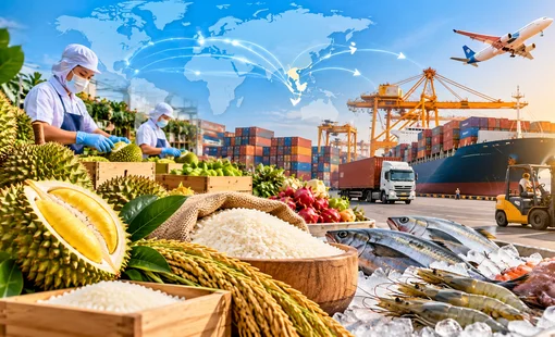 Khơi dòng xuất khẩu nông, lâm, thủy sản: Gỡ đúng điểm nghẽn, mở thêm dư địa