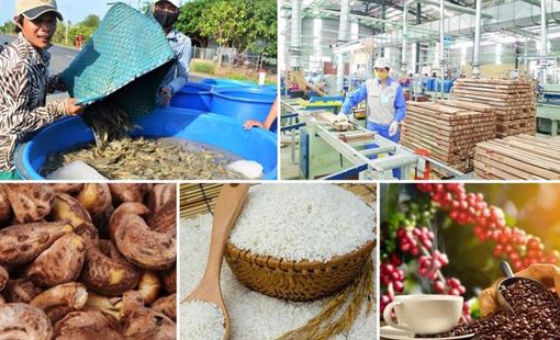 Xuất khẩu nông, lâm, thủy sản đạt 56,3 tỷ USD sau 9 tháng, còn gần 18 tỷ USD mục tiêu