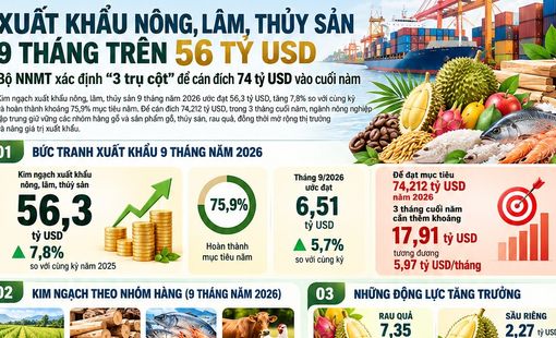 [Infographic] Xuất khẩu nông, lâm, thủy sản 9 tháng đạt 56,3 tỷ USD, hướng tới mục tiêu hơn 74 tỷ USD