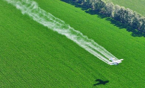 Trung Quốc kết hợp ổn định vật tư và công nghệ để củng cố an ninh lương thực
