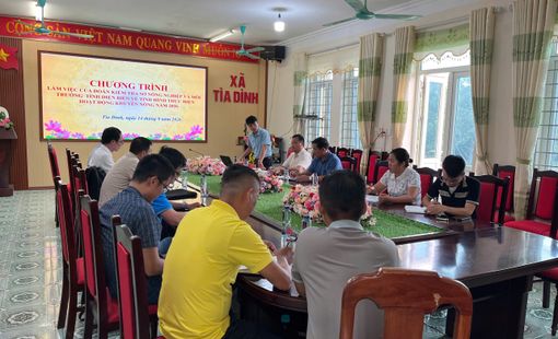 Điện Biên đánh thức tiềm năng đất khó: Dấu ấn đổi mới từ những mô hình khuyến nông thực chất