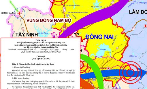 Thu hồi đất ở Đồng Nai: Đề xuất đơn giá bồi thường mới cho thủy sản và vật nuôi khác