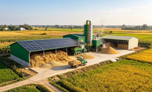 Nhà máy nông sản tiết kiệm năng lượng từ nguồn lực sẵn có