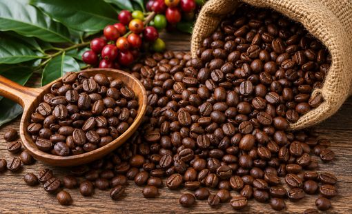 Giá cà phê hôm nay 29/9: Arabica tăng mạnh khi thời tiết Brazil gây lo ngại