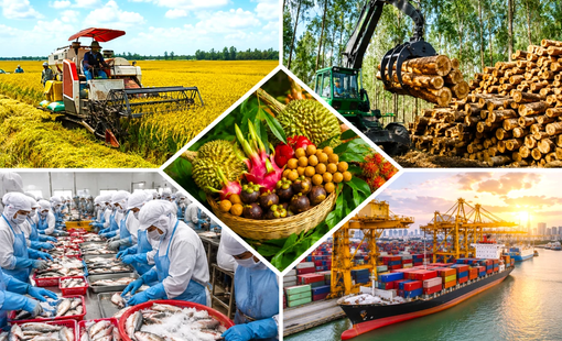 Xuất khẩu nông, lâm, thủy sản có cơ sở tăng tốc trong quý IV