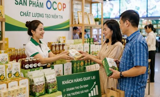 Một sản phẩm OCOP bán bao nhiêu lần mới gọi là thành công?