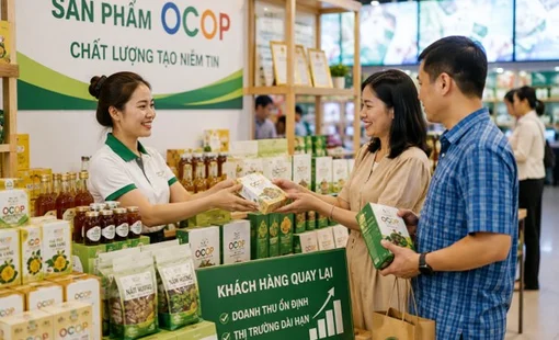 Một sản phẩm OCOP bán bao nhiêu lần mới gọi là thành công?