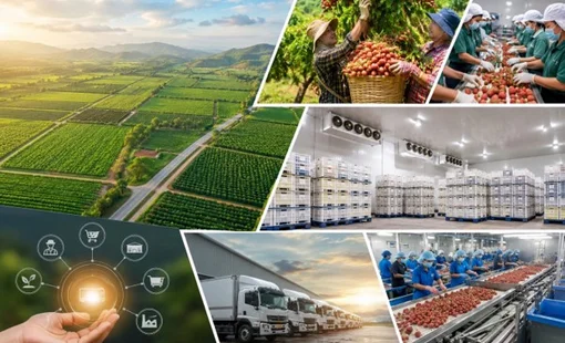 Vùng nguyên liệu lớn lên, ai sẽ hưởng lợi trước?