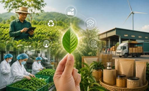 Tiêu chuẩn xanh: Doanh nghiệp nông thôn đang bán thêm giá trị gì?