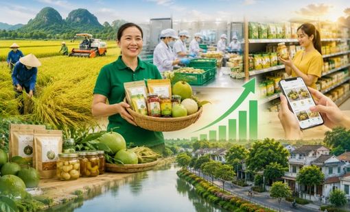 Làm ra nhiều sản phẩm, vì sao nhiều vùng quê vẫn chưa giàu?