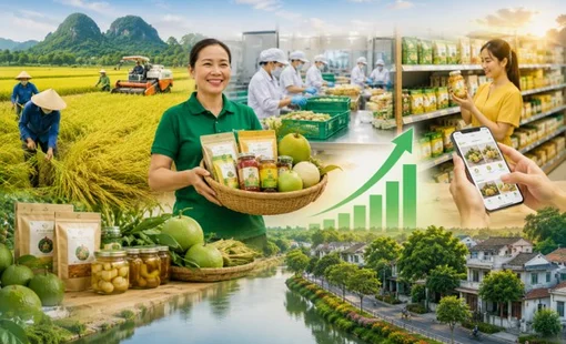 Làm ra nhiều sản phẩm, vì sao nhiều vùng quê vẫn chưa giàu?