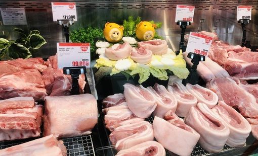 Giá heo hơi hôm nay 3/9: Miền Bắc giữ mức cao nhất 59.000 đồng/kg