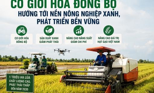 Cơ giới hóa đồng bộ hướng tới nền nông nghiệp xanh, phát triển bền vững