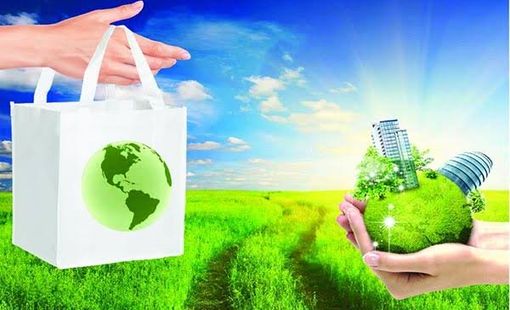 Bao bì mềm khó nhận diện: Thách thức mới đối với doanh nghiệp xuất khẩu