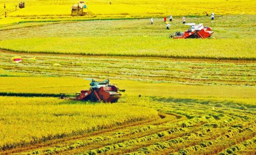 Cần Thơ đưa công nghệ vào chuỗi giá trị lúa gạo, thủy sản