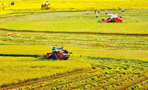 Cần Thơ đưa công nghệ vào chuỗi giá trị lúa gạo, thủy sản