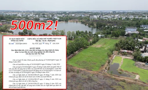 Từ 15/10, người dân Tây Ninh được xây công trình trên đất trồng lúa, tối đa 500m2