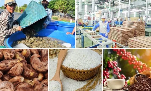 Xuất khẩu nông, lâm, thủy sản 9 tháng: Từ lợi thế sản lượng đến nâng cao giá trị
