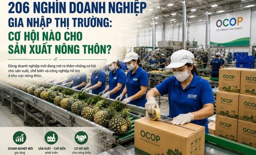 206 nghìn doanh nghiệp gia nhập thị trường: Cơ hội nào cho sản xuất nông thôn?
