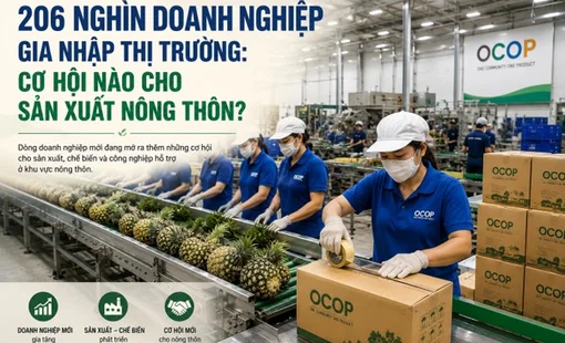 206 nghìn doanh nghiệp gia nhập thị trường: Cơ hội nào cho sản xuất nông thôn?