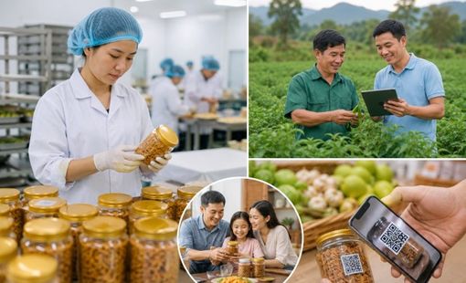 Có những doanh nghiệp nông thôn không chỉ bán sản phẩm, họ bán sự yên tâm