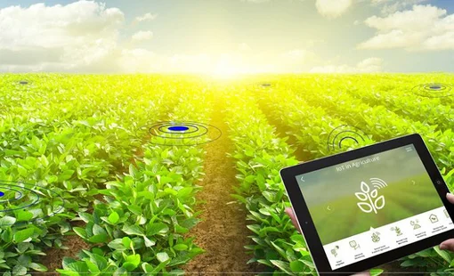 Số hóa mở đường cho nông sản Việt chinh phục thị trường giá trị cao