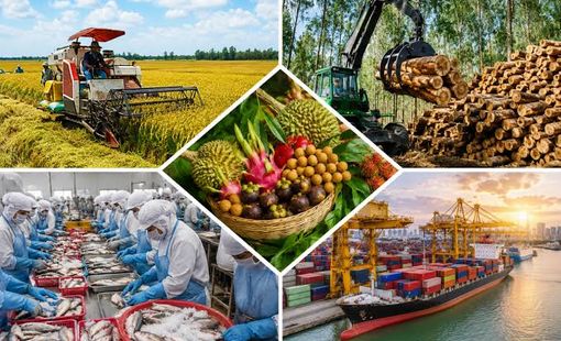 Xuất khẩu nông, lâm, thủy sản đạt gần 49,3 tỷ USD sau 8 tháng